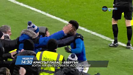 Кристъл Палас - Евертън на 20 март, неделя от 14.30 ч. по DIEMA SPORT 2