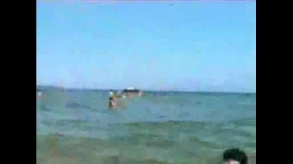 Тутурутка На Морето