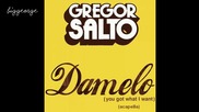 Gregor Salto - Damelo ( You Got What I Want ) ( Acapella ) [high quality]
