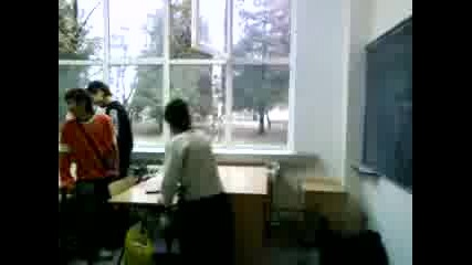 Bibitkooo 