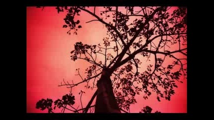 Andy Williams - Speak Softly Love (lyrics)