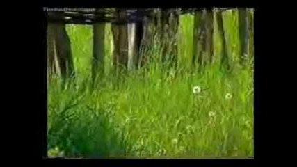 Sinan Sakic - Cuvaj Se Cuvaj