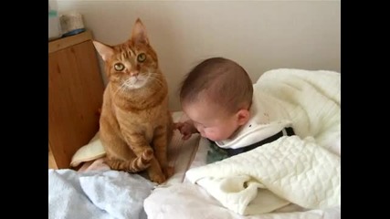 Коте и бебе 3 