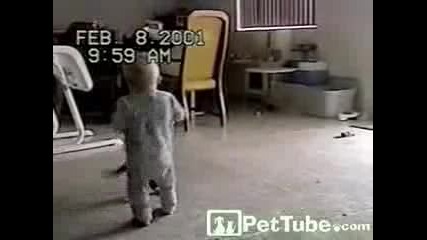 бебе се бие с котка 