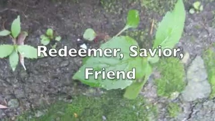Redeemer, Savior, Friend
