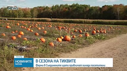 В сезона на тиквите: Ферми в Съединените щати привличат хиляди посетители