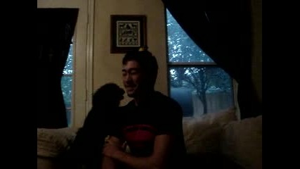Ducky Toy On Joseph