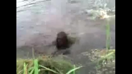 Той какво си мислеше, а то какво стана ) 