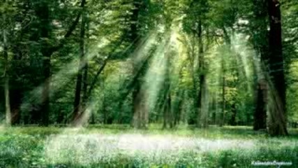 Wayne Gratz - Eyes Of Nature ( Relaxing Piano Instrumental )