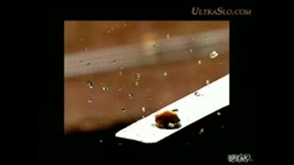 Пържене на пуканки забавен кадър много яко ?