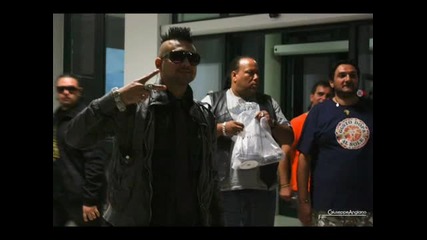 Sean Paul Ft. Chicken - Draw Card