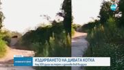 Продължава издирването на едрия хищник в „Шуменското плато”
