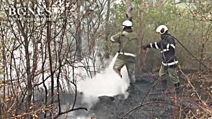Овладяха големия пожар в Бургаско