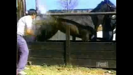 Рўрјсџс… Р”рѕ Рўрєсљсѓрір°рѕрµ