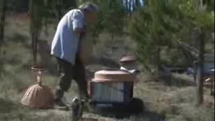 Отглеждане на пчели в примитивни кошери