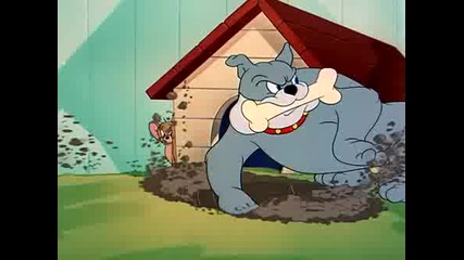 Tom & Jerry - The Framed Cat