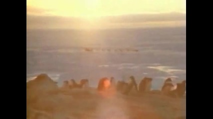 Vangelis - Antarctica