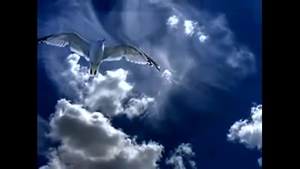 Ritchie Blackmore's & Rainbow - Catch the Rainbow