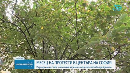 Протест и закана за жива верига в София заради изсичане на дървета