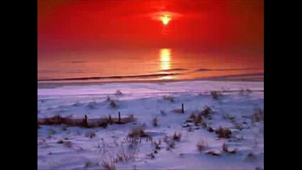 Tarja Turunen - You would have loved this (lyrics)