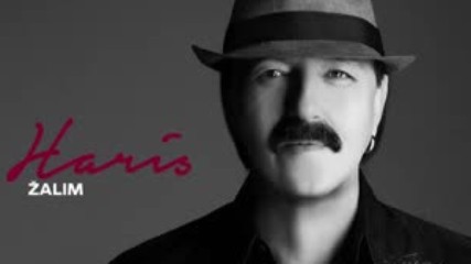 Haris Dzinovic - Zalim - Audio 2017