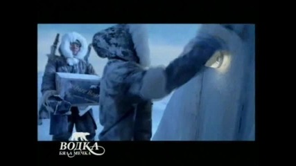 Камелия-Водка Бяла мечка