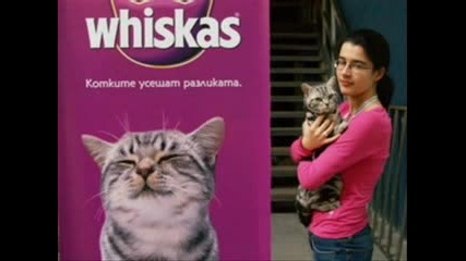 Сладки Котенца 2