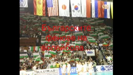 Българските фенове на волейбола Bulgarian volleyball fans