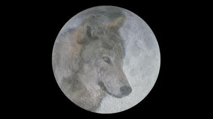 Graveland - Carpathian Wolves
