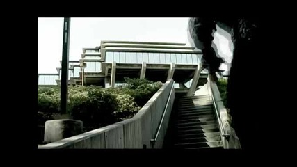 Free Run By The Platt Brothers