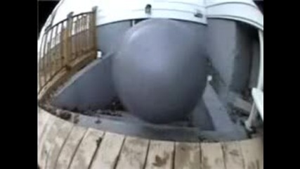 Опа Изненада :d