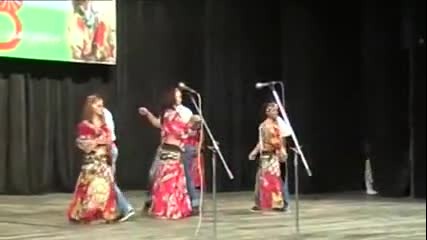 Ромски Кючеци 08.04.2014 (4) video