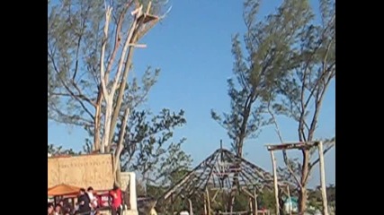 Jamaica Negril-rick`s Cafe