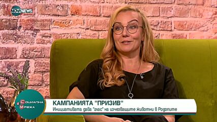 Кампания дава гласност на проблема с изчезващите животни в Родопите