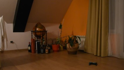 drone in home
