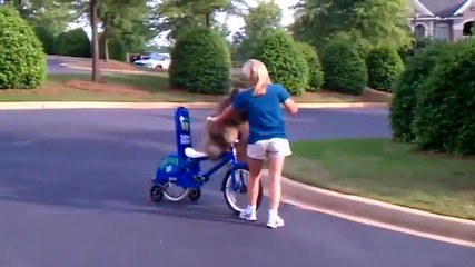 Куче кара колело