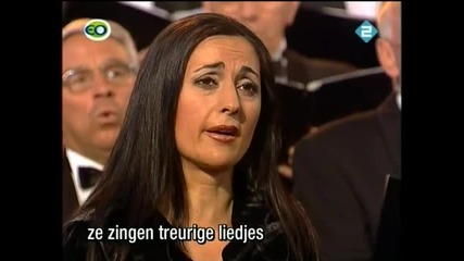 Най - голямата световна сензация - Холандски хор изпълнява Болен ми лежи Миле Попйорданов 