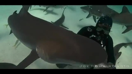 Човек и акули.това е невероятно 