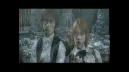 Ron And Hermione - All Fall Down