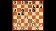Bogoljubow vs. Alekhine 
