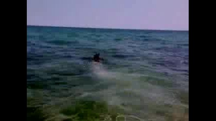 Нира
