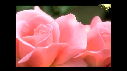 Smoothjazz John Klemmer Give Me The Love