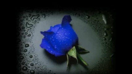 Синя Роза...