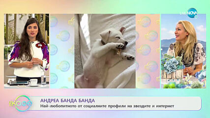 Андреа Банда-Банда с най-любопитното от социалните мрежи - „На кафе” (12.10.2020)