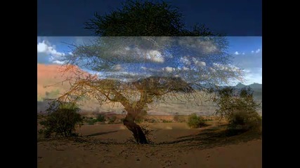 Jan Garbarek & Mari Boine Persen ~ Evening Land