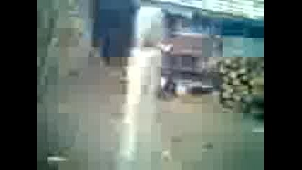 Arap Ve Kose Bakiyor 2010 Hq 