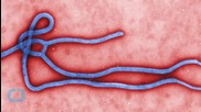 Antidepressant and Heart Drug Show Promise for Combating Ebola