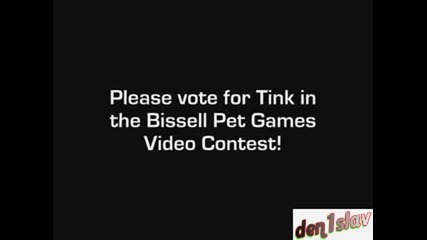 Home Videos Channels Change Player Size Watch this video in a new window Kitten afraid of remote 