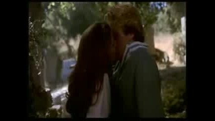 {} Brian Krause {}
