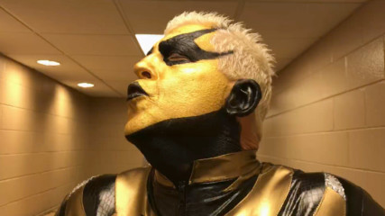 Goldust teases who his new WWE Mixed Match Challenge partner will be